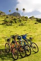 Lord Howe Island_20061210_060